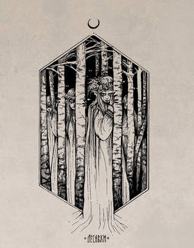 the forest spirits