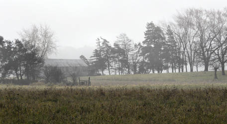 A Foggy Day In Ontario III