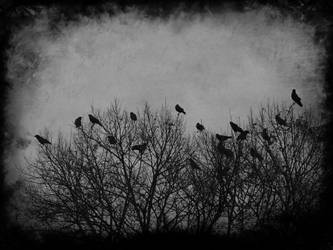 A Murder Of Crows II