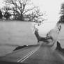 On the Road to be Content