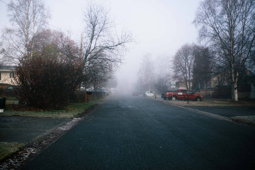 One Street and a Cup of Fog