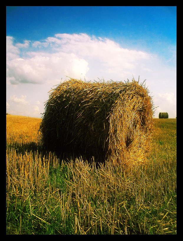 Haystack by maxwas on DeviantArt