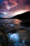 : o n e i n a m i l l i o n : by Immerse-photography