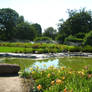 Ponds in botanical garden2