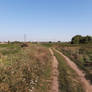 Floodplains3