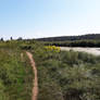 A path in floodplains