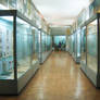 Museum of Natural sciences