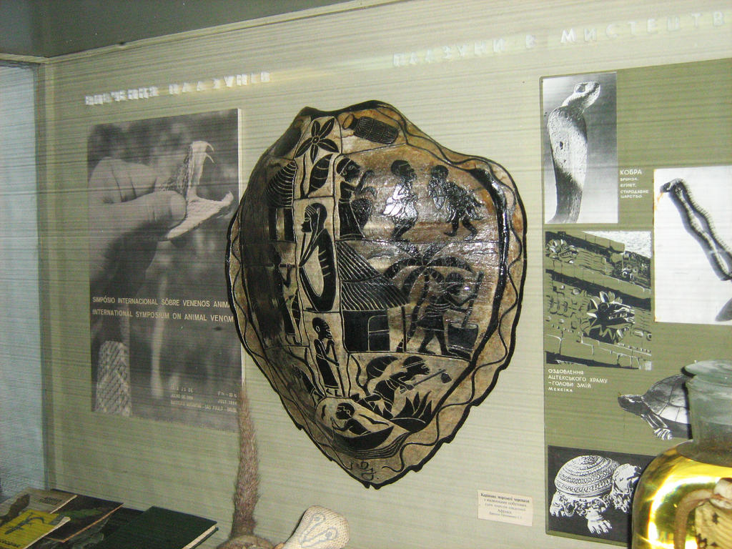 Turtle shell art by Tiemnokryskin on DeviantArt