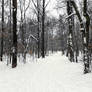 Dreary january of 2019(13)