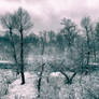 Winter depression3