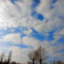 Clouds