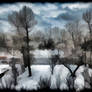Dreary scape