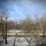 Img 0998(2)