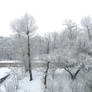 Winter boonies