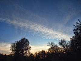 Track of wind