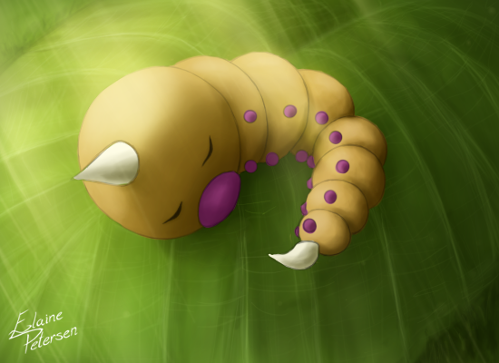 Weedle