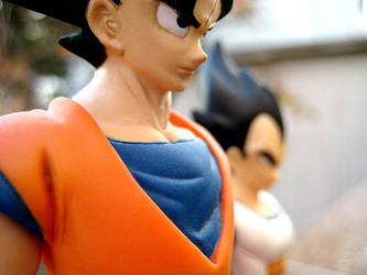 Goku and Vegeta . +4