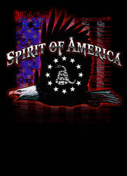 Spirit of America 3