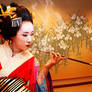 ..Oiran Henshin..