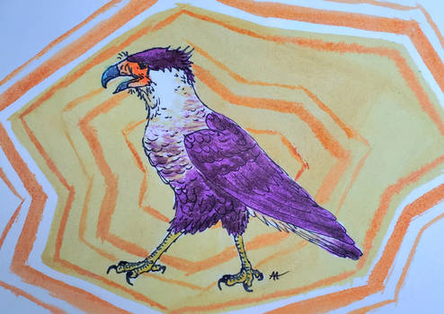 Crested Caracara