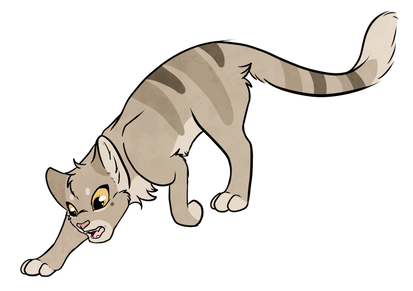 Warrior Cats by Kityote on DeviantArt
