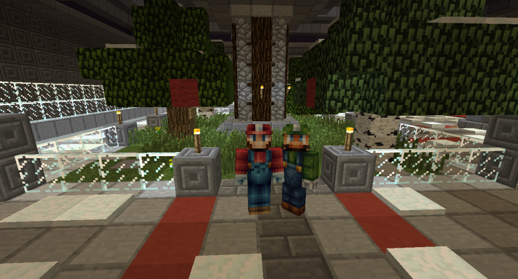 Mario and Luigi Minecraft