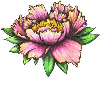 Peony Flower