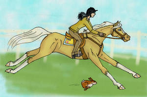 Ponyrace by Louvan Ponyrace by Louvan