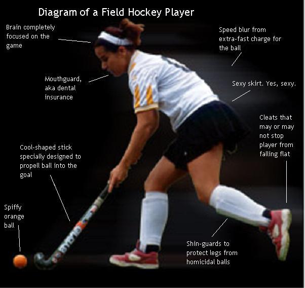 Diagram Of Field Hockey Player By Fikriyya On Deviantart