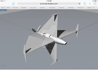 Diamond fighter rough 3D 1