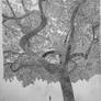 Sketch of NYC tree