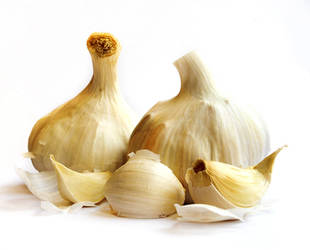 garlic by Laura1995