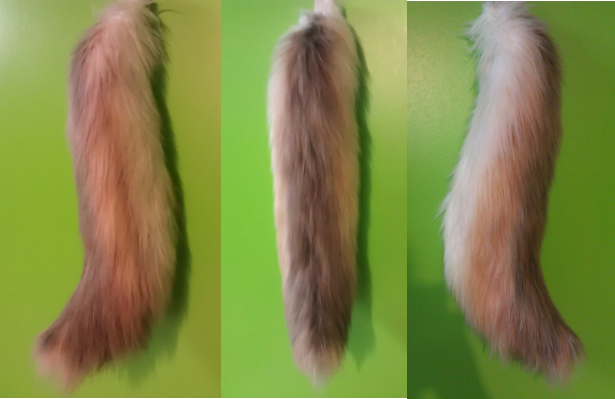 Light Brown Wolf Tail