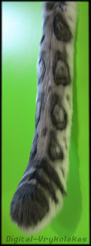 Snow Leopard Tail Commission