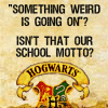 Hogwarts Rules 7