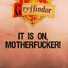 gryffindor morals  3