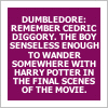 Remember Cederic Diggory