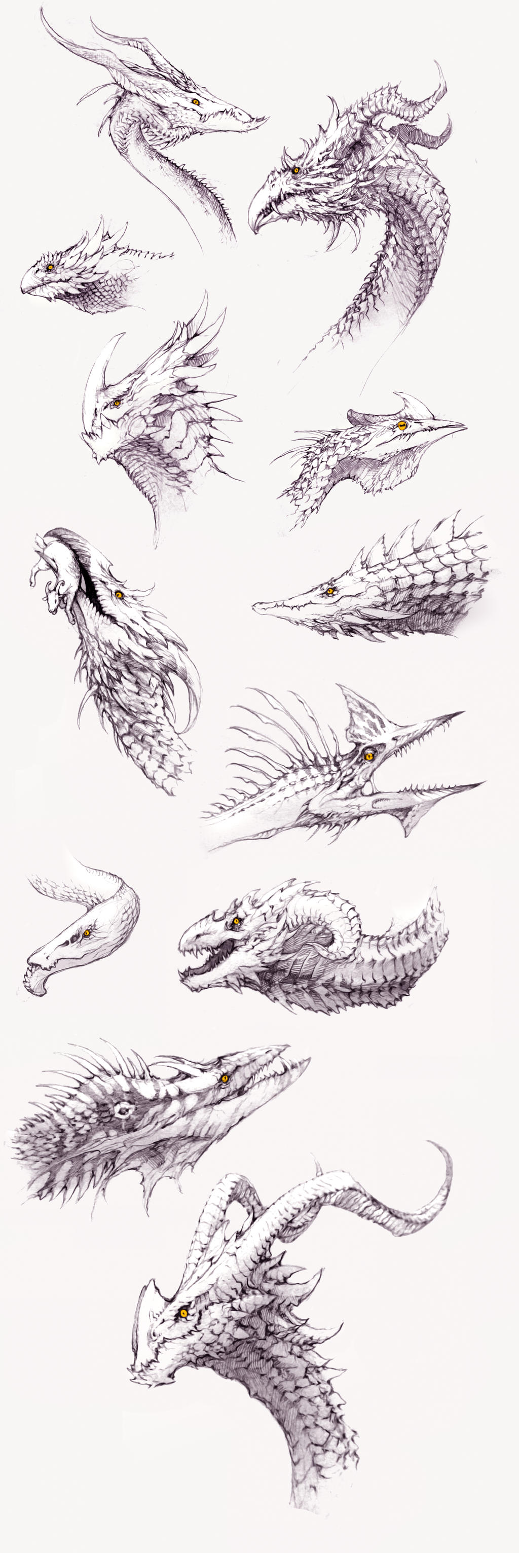 Dragon sketches