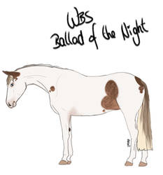 WBS Ballad Of The Night