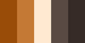 Color Palette Braun Schwarz