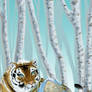 Journey Through Russia_Tiger