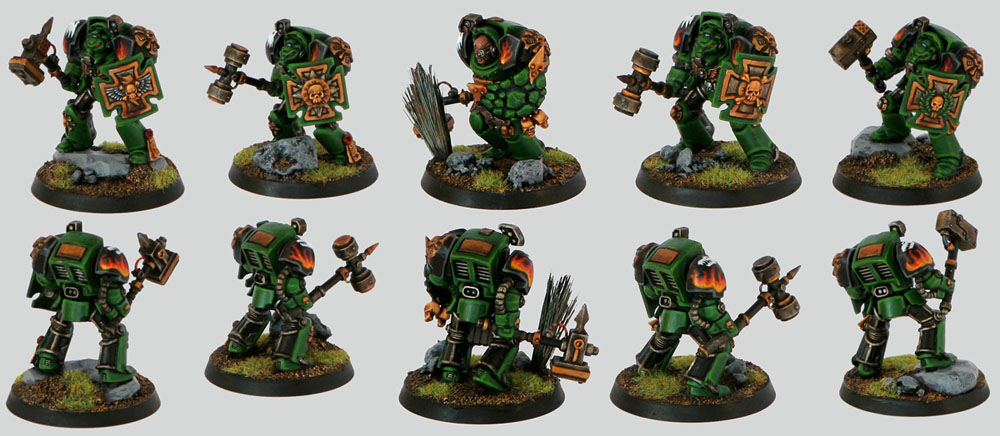 Salamanders Terminators