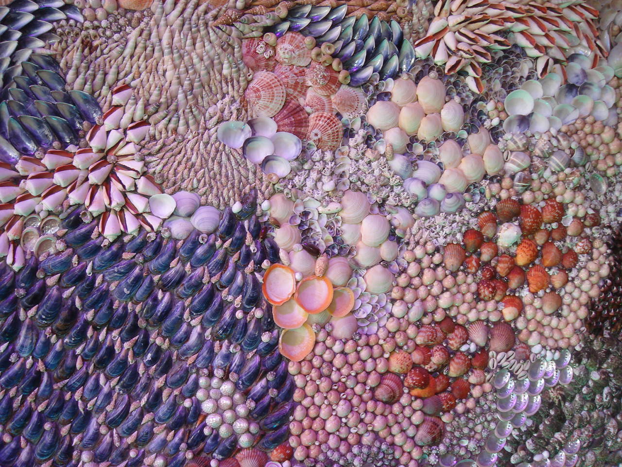 Shells by kenseoul on DeviantArt