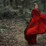 Little Red Riding Hood V