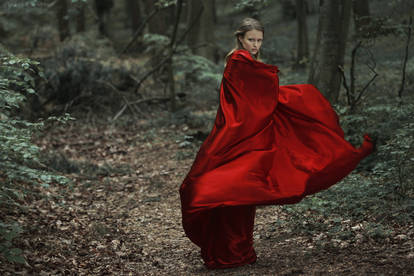 Little Red Riding Hood V