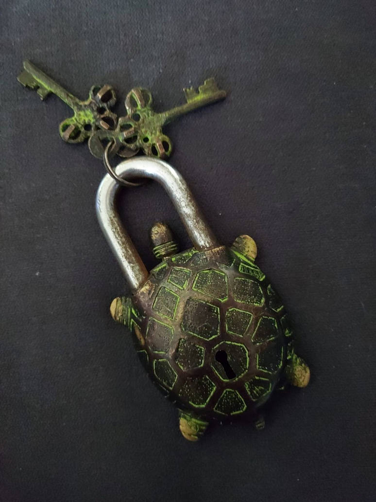 Turtle Lock by Recoveryman88 on DeviantArt