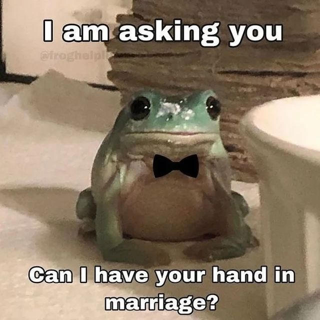 Sentimental Frog Meme Romantic Frog Meme by Recoveryman88 on DeviantArt