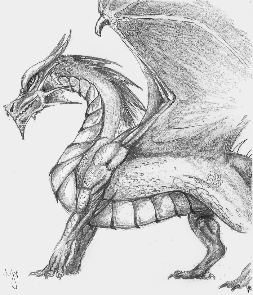 Simple dragon sketch