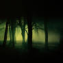 Original Haunted Forest