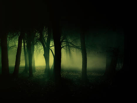 Original Haunted Forest